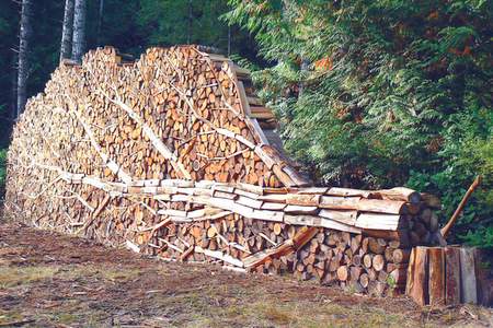 Woodpile
Stacked in the shape of a tree
Keywords: woodpile
