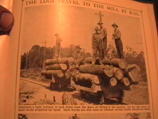 logs transported by rail
