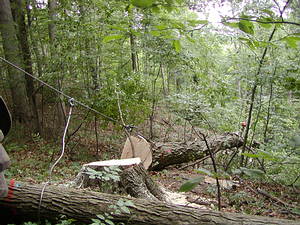 skidding hill
Pulling two logs up 200 ft hill - 2005 Selectcut
