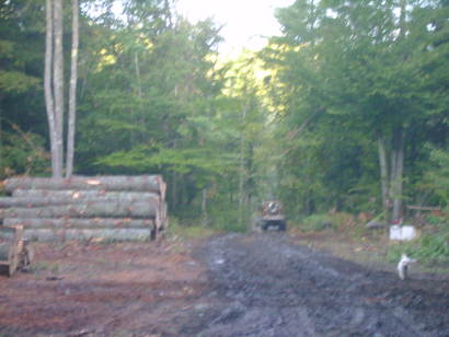 forwarder aug 06
just coming into the landing
