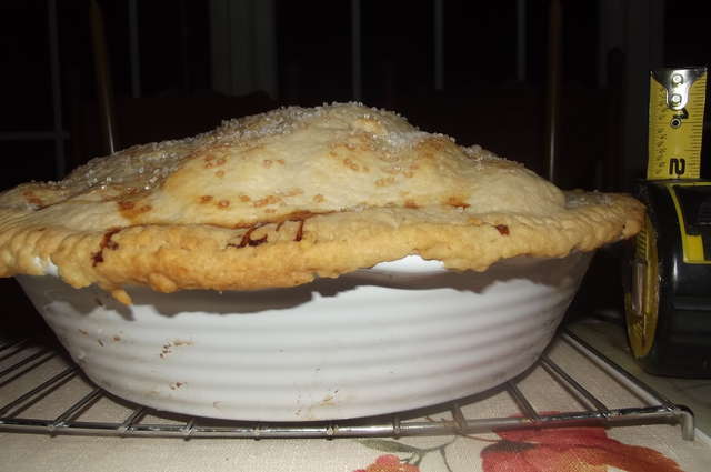 brenda's almost 5 inch high apple pie
