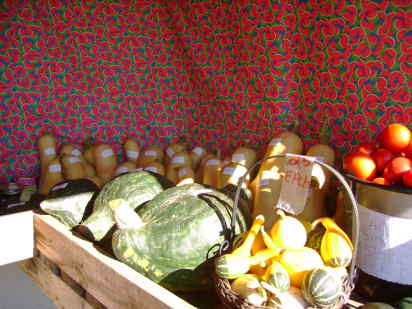 sept 06
green hubbard and gourds
