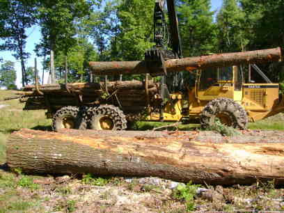 forwarder 06
unloading cedar and hemlock by the sawmill
