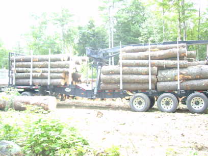 log truck 06
all loaded with white pine
