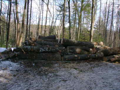logs waiting for the forwarder
