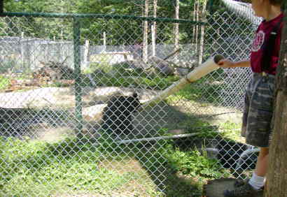 hunter feeding bear 08
A small wildlife park a few miles from my place.When we walked up to where the bears are,this one was laying down sleeping.Soon as we put in a quarter and turned the handle in the grain machine,the bear was on his feet and flopped down by the tube waiting for the grain.
