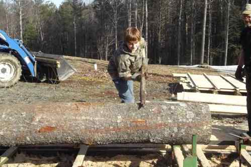 hunter with my Thomas sawmill 2012
hunter sawing out white pine for veggie stand
