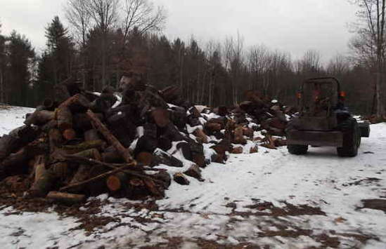 thefarm wood pile 2012
this is mostly white pine with a little hemlock. A few feet was cut off to make good saw logs
