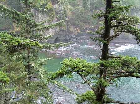 Cape Flattery
The very most Northwest corner of the continental USA, on the  Olympic Peninsula in Washington.
