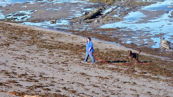 RenÃ©e out on the shore with Balou, Treasure hunting!!!
