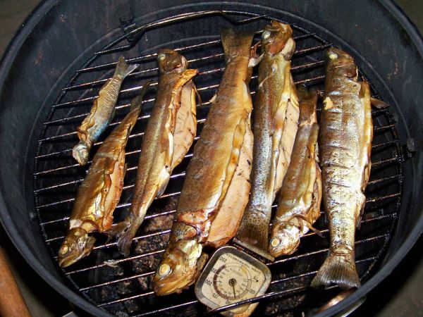 Smoked trout 07 2011
