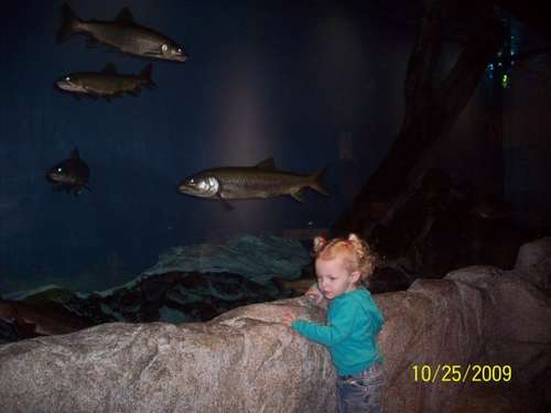 ava and the trout
