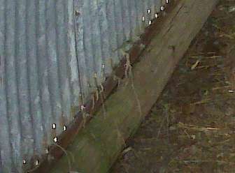 base of shed
bin panels on top, 2" angle lag bolted to telephone pole

