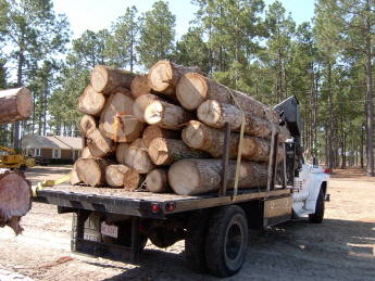 24 logs on boom truck march 05
