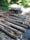 firewood logs and one cord loaded.jpg