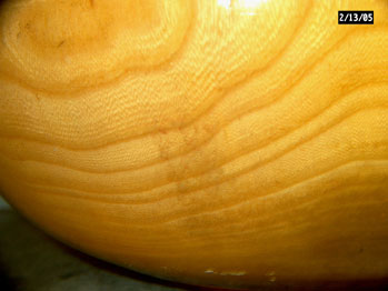 Elmwood Bowl Showing Grain
This bowl made from American elm wood shows the grain.
Keywords: American elm wood grain