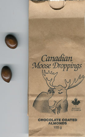 moose droppings
