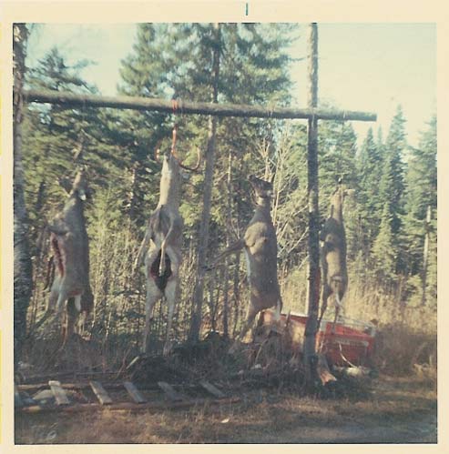 Deer harvest at Serpentine in November, sometime in the 60's.
