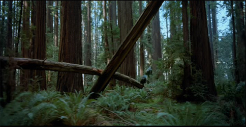 Reurn of the Jedi redwood scene
