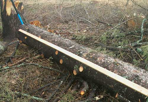 chainsaw milling
