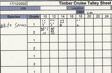 Cruise tally sheet
