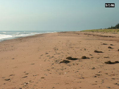 ValComeau Beech near Tracadie, NB. A Provincial Park
