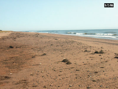 ValComeau Beech near Tracadie, NB. A Provincial Park

