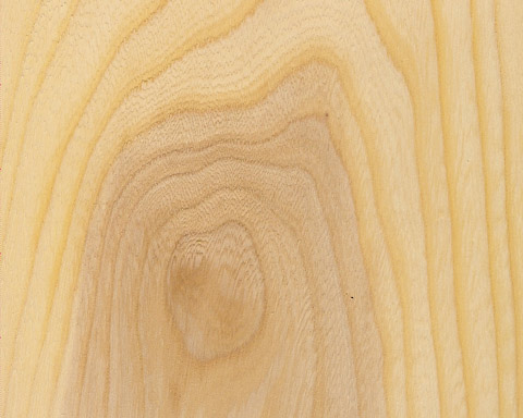 wood grain
