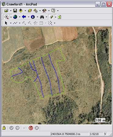 GIS shot of an area we will be thinning in my plantations.
