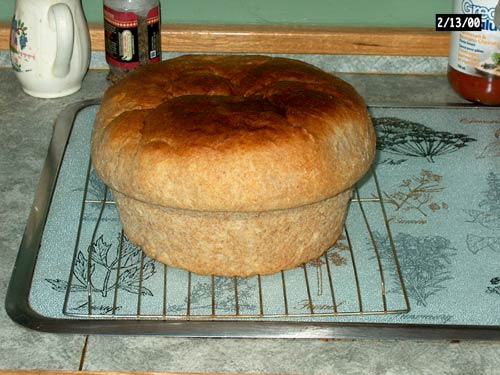 whole wheat bread, 5 cups flour, 2 cups water  8" diameter, 4-1/2" high
