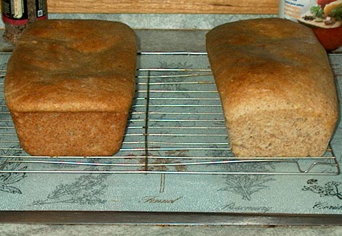 SD_bread_making-003.jpg