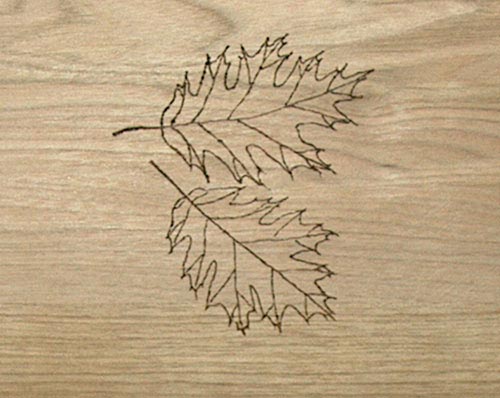 oak leaf, burn pen
