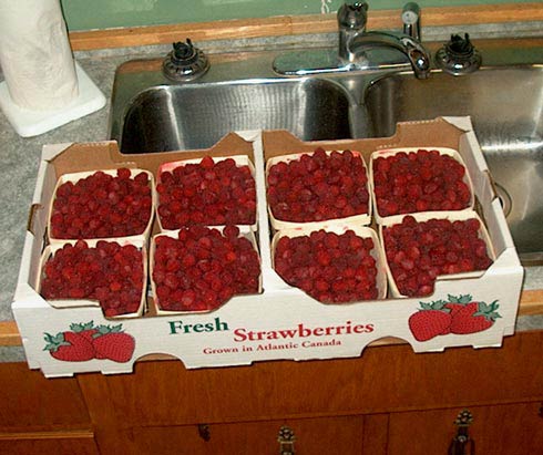 Flat of raspberries
