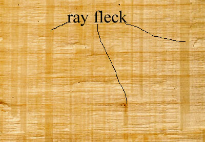 ray fleck in maple
