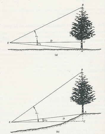 tree height diagram
