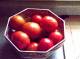 tomatoes-ripe-Aug20-2021.jpg