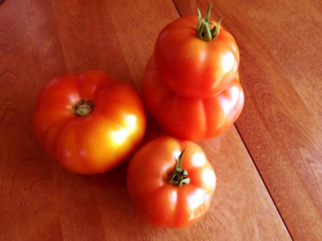 tomato-Aug14-2020.jpg