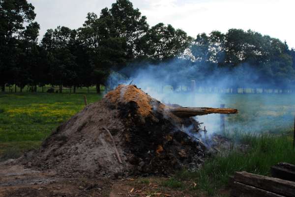 DAV 8761
burning pile 2
