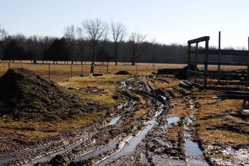 DAV 8181
Jan 2010 mud at Hidden Acres Farm

