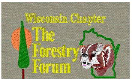 WI FF Logo
