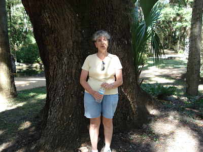 Cheryl and huge live oak
Live oak in Washington Oaks Gardens State Park in Florida.
