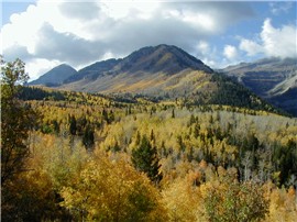 Fall in Utah
