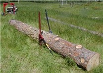 lifting a log
ready to lift log up inorder to put rear axel under it
