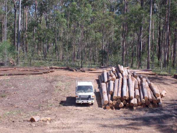 7 wood stack size (2)
