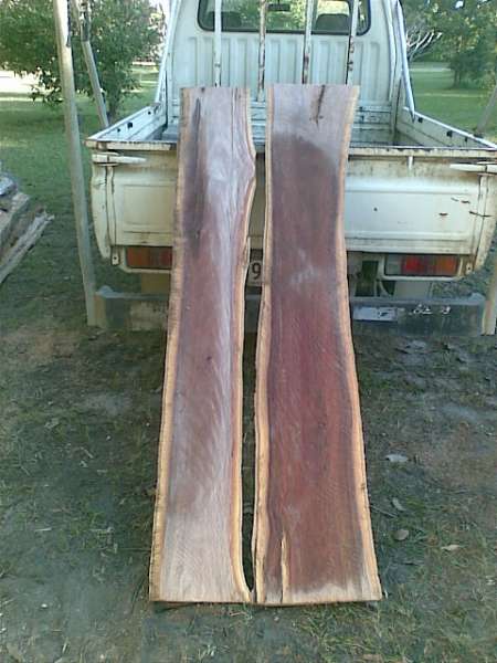 ningi5
Two such bottom flitches after re-sawing to give a couple of 2" thick slabs
