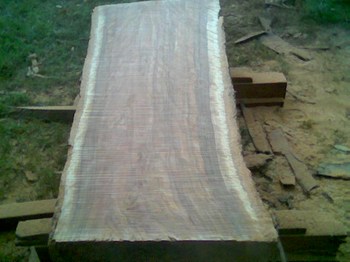 School slab
Pretty little stick of timber. too good not to slab
