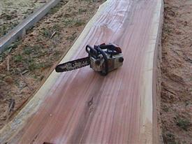 Sthil 020T pruning saw on the Eucalyptus log
