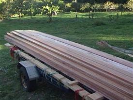 Eucalyptus lumber

