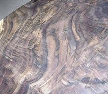 walnut stump wood
