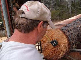 tape measure stuck to  southern yellow heart pine
